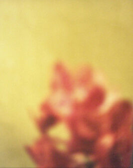 David Seidner, ‘Orange Cluster on Green’, 1999