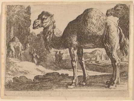 Herman van Swanevelt, ‘Camels’