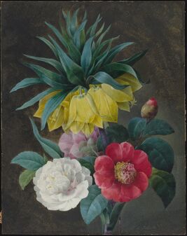 Pierre Joseph Redouté, ‘Four Peonies and a Crown Imperial’