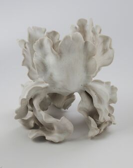 Matthew Solomon, ‘Iris’, 2015