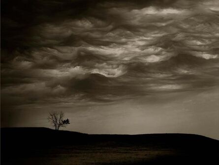 Jack Spencer, ‘Cloud/Tree, South Dakota’, 2007
