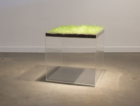 Hans Haacke, ‘Grass Cube’, 1967