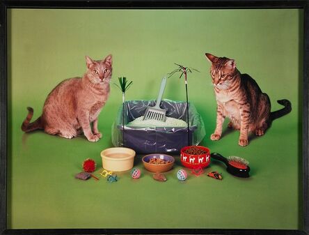 Neil Winokur, ‘Cats’, 1997