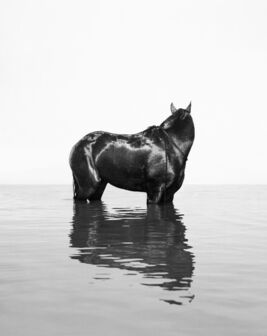 Oded Balilty, ‘Front (Shikma River, Zikim Beach, Gaza Border)’, 2019