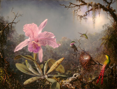 Martin Johnson Heade, ‘Cattleya Orchid and Three Hummingbirds’, 1871