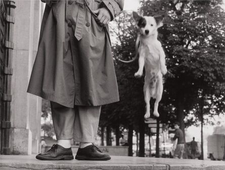 Elliott Erwitt, ‘Paris, 1989, (dog jump)’, 1989