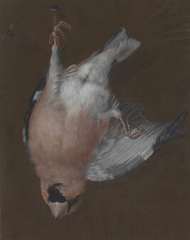 Barbara Dietzsch, ‘A Rose-Breasted Finch Hanging from a Nail’, ca. 1760