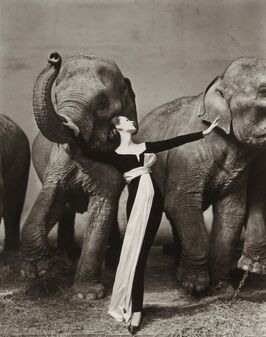 Richard Avedon, ‘Dovima with Elephants, Paris’, 1955