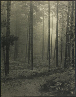 Otto Eaton, ‘Mystic Woods’, 1940