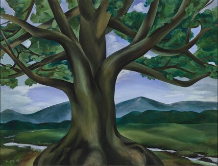 Ida O’Keeffe, ‘The Royal Oak of Tennessee’, 1932