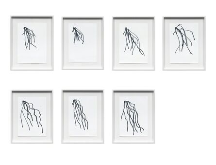 Lutz Bacher, ‘Hair Drawings’, 2010