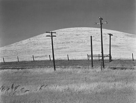 Edward Weston, ‘Hill and Telephone Poles’, 1937