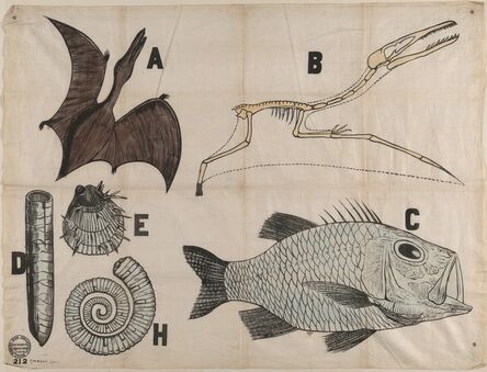 ‘Untitled (Working Men's Educational Union textile length, "Jurassic Fauna & Cretaceous"), British’, 1850-1860