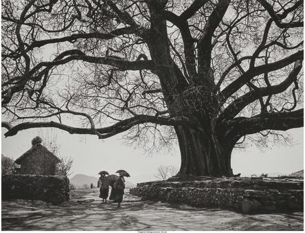 Gordon Converse, ‘Nepalese walk under huge tree in mountains, Nepal’, 1964