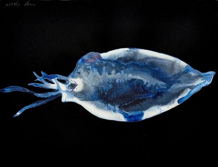 Alexis Rockman, ‘Untitled (Squid Larvae 2)’, 2013