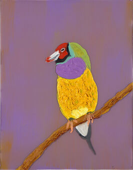 Marcus Jahmal, ‘Gouldian Finch’, 2016