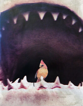 Michael Muller, ‘Solitary Confinement’, 2011