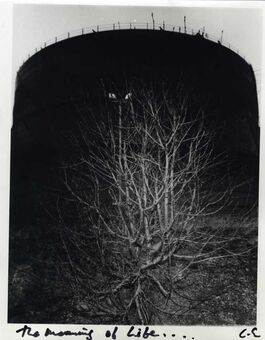 Chris Shaw, ‘Weeds of Wallasey ’, 2007-2012