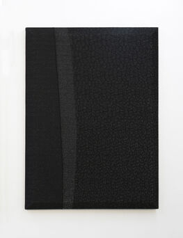 Gastón Pérsico, ‘Ruido Negro II’, 2019