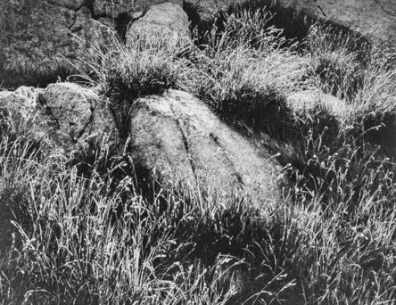 Ansel Adams, ‘Rocks and Grass in Kings River Sierra’, 1939