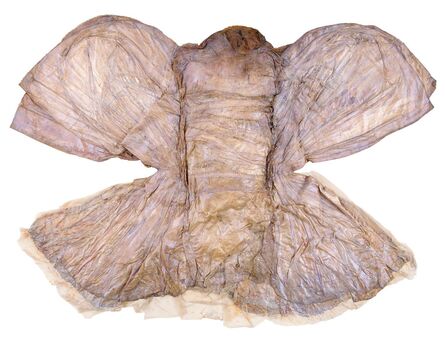Heidi Bucher, ‘Libellenkleid (Dragonfly costume object)’, 1976