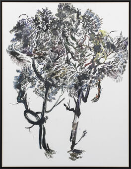 Abdelkader Benchamma, ‘Trees’, 2022