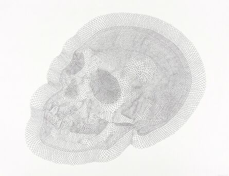 Walter Oltmann, ‘Adult Skull’, 2015