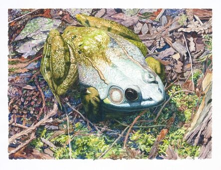 Tim Fortune, ‘Green Frog’, 2004