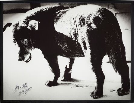 Daido Moriyama, ‘Stray Dog, Misawa’, 1971