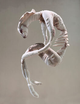 Hou Guan Ting, ‘?’, 2023