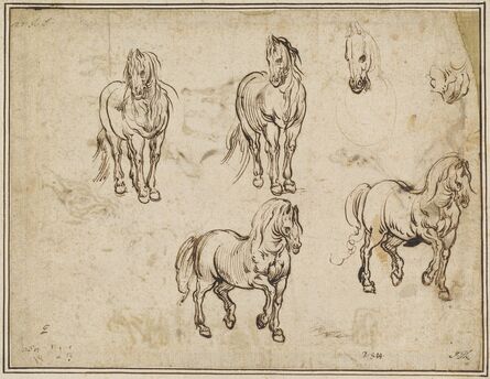 Jacques Callot after Antonio Tempesta, ‘Studies of Horses [recto]’, ca. 1612
