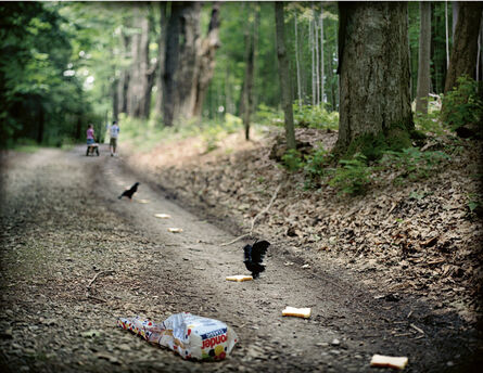 Krista Steinke, ‘They wondered where the path would lead them’, 2006