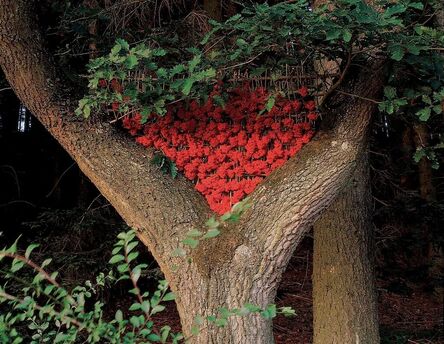 Nils Udo, ‘Fourche de chêne, baies de sureau rouge, Allemagne’, 1992