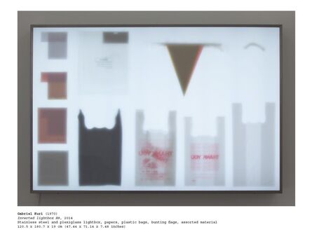 Gabriel Kuri, ‘Inverted Lightbox H8’, 2014
