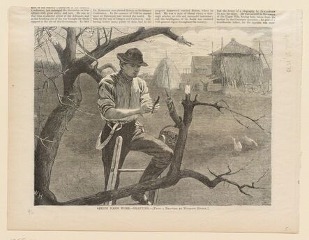 After Winslow Homer, ‘Spring Farm Work—Grafting’, 1870