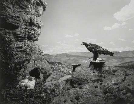 Hiroshi Sugimoto, ‘Golden Eagle'’, 1994