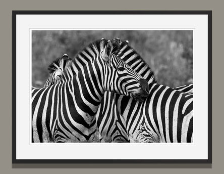 Araquém Alcântara, ‘Zebras, Tanzania, Africa (Black and White Photography)’, 2012