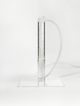 Roger Hiorns, ‘Richard Hamilton’, 2014