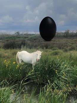 Rachel Rose, ‘The Camargue Horse’, 2020