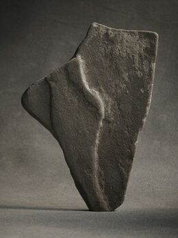 Ned Smyth, ‘Cliff Torso’, 2014