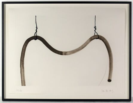 Zhang Enli 张恩利, ‘Iron wire and pipe 鐵絲和塑料管’, 2013