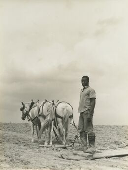 Jack Delano, ‘Greene County, Georgia’, 1941
