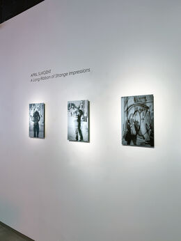 April Surgent - A long ribbon of strange impressions, installation view