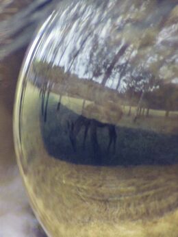 Julian Charrière & Julius von Bismarck, ‘Objects in Mirror Might Be Closer Than They Appear II’, 2016