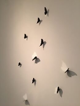 Barnaby Hosking, ‘Butterflies (10)’, 2015