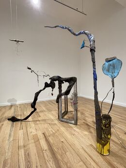 The Trial of the Trail by Hagar Fletcher, installation view