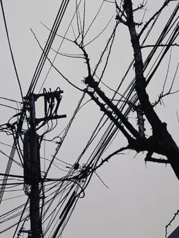 João Penalva, ‘Looking up in Osaka (Sonezaki 2 cho-me #4 E 26)’, 2005