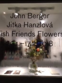 Jitka Hanzlová / John Berger, Fish Friends Flowers, installation view