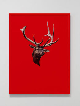 Sarah Charlesworth, ‘Stag’, 1983-1984