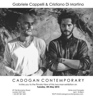 Gabriele Cappelli and Cristiano di Martino, installation view
